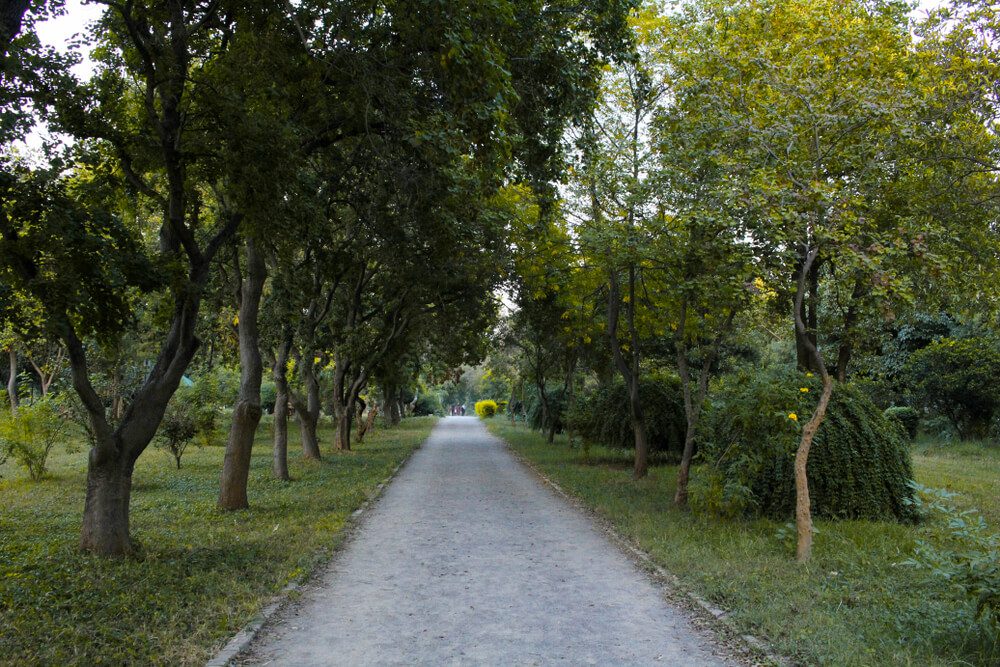 Kachnar Park islamabad