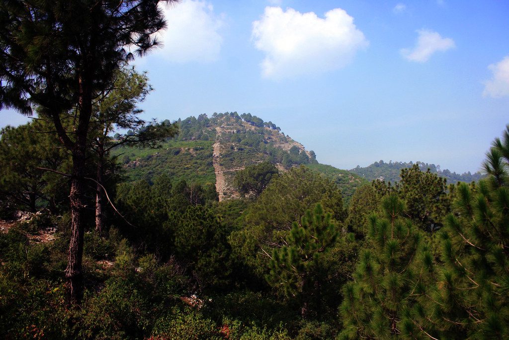 Trail no 3 islamabad