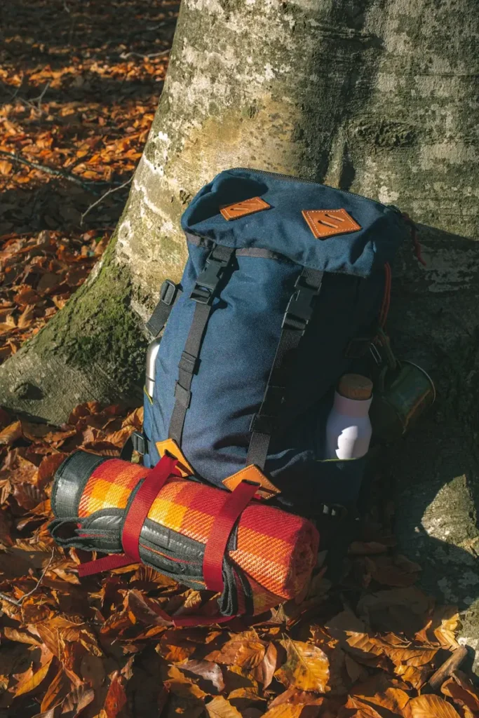 Travel Backpack