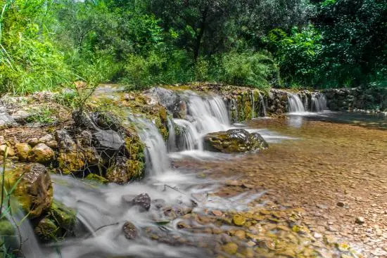 Ficus Water Spring & Waterfall-Islamabad