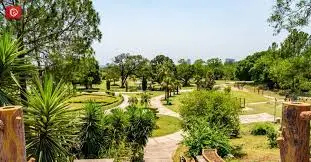 Japanese-Children-Park-Islamabad