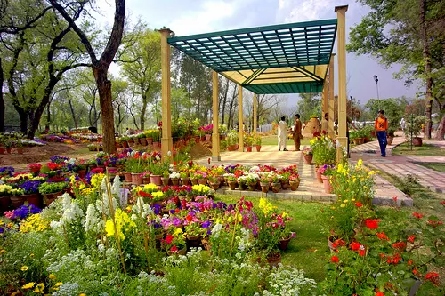 rose-and-jasmine-garden-Islamabad