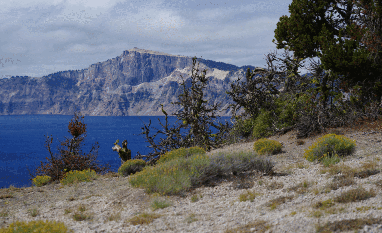 Top 6 Things to Do in Crater Lake National Park