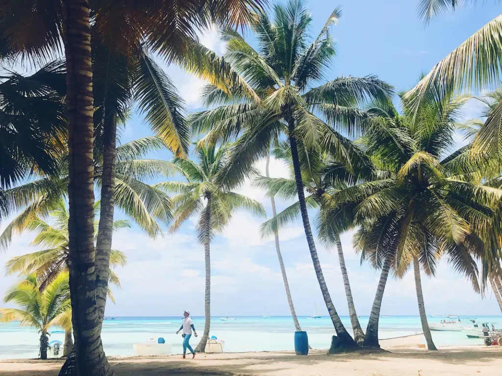 coconut groove miami