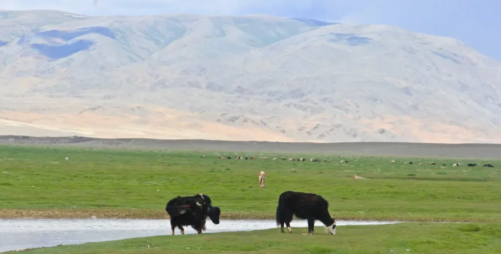 Deosai National Park