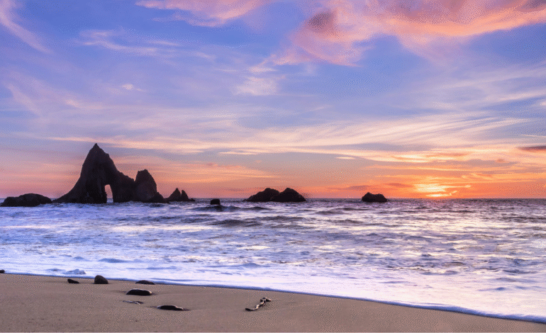 Unforgettable Things to Do in Half Moon Bay: Your Ultimate Coastal Escape