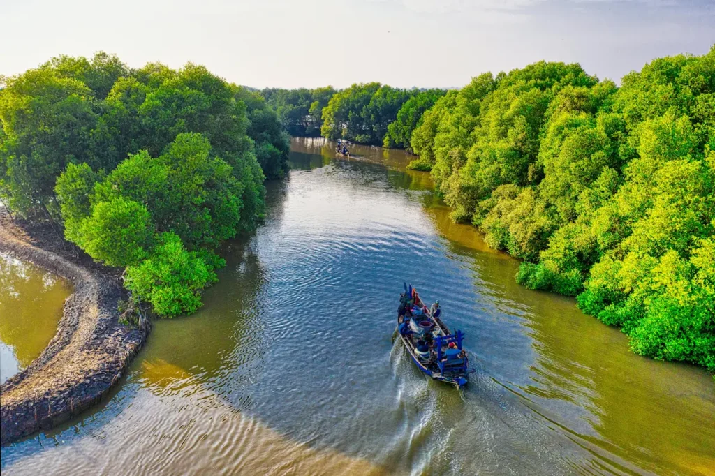 Jubail Mangrove Park, Abu Dhabi