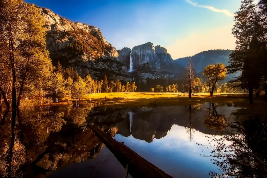 yellowstone national park Montana