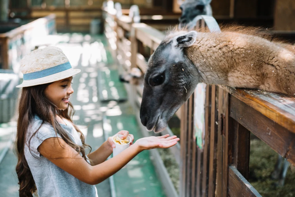Balboa Park Zoo