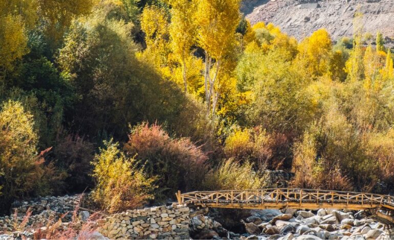 Basho Valley, Pakistan: Your Complete Guide to the Hidden Paradise