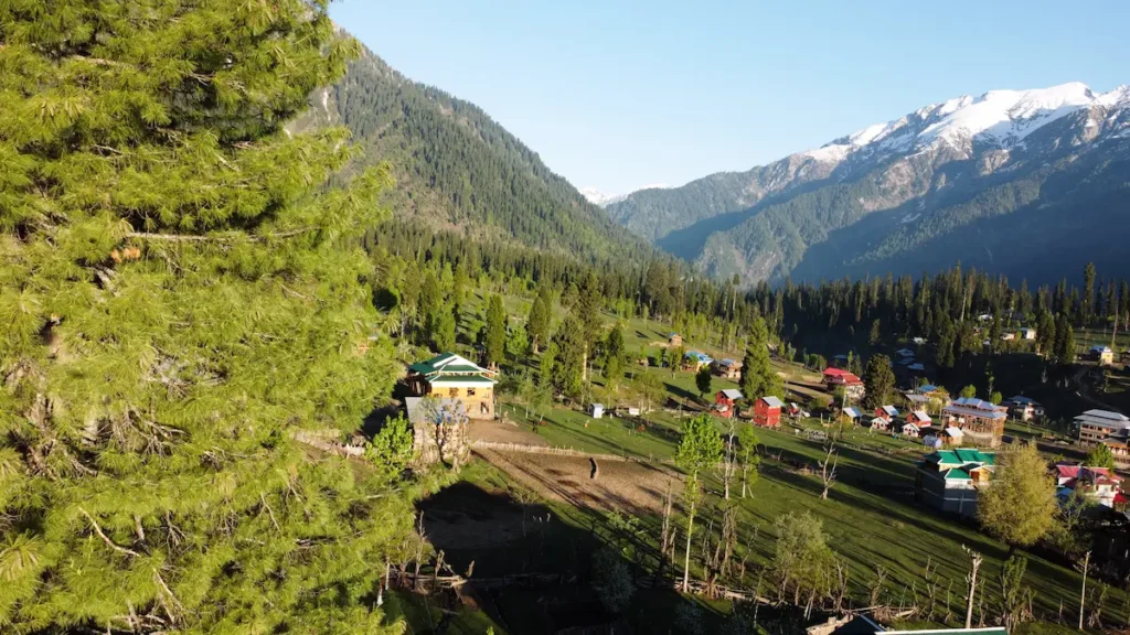 Best Time to Visit Fairy Meadows
