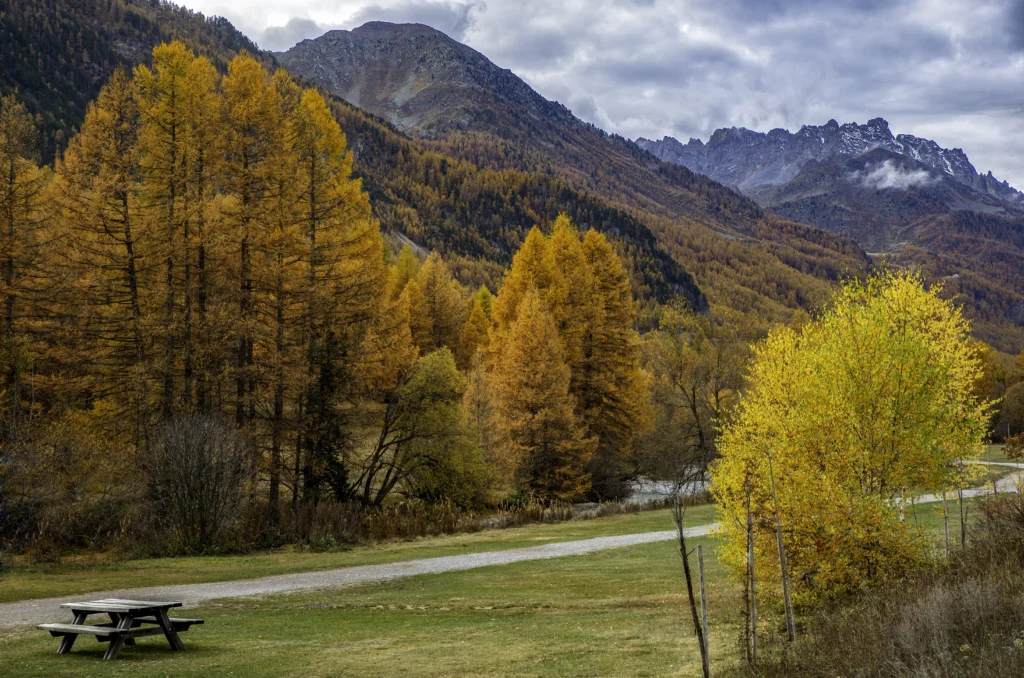 Colorado Fall
