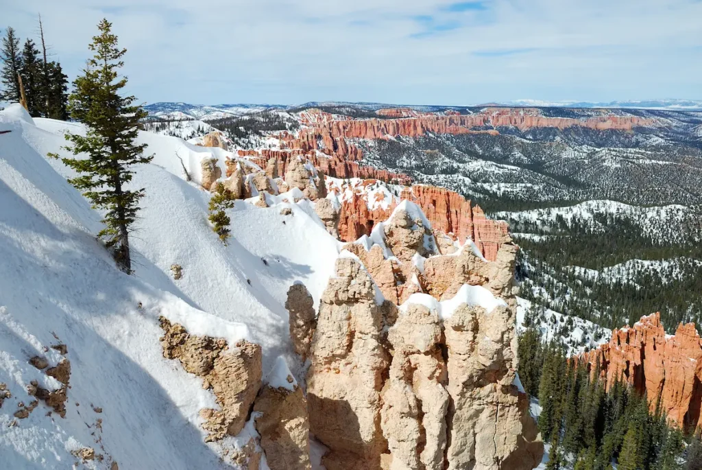 Colorado Snow Time