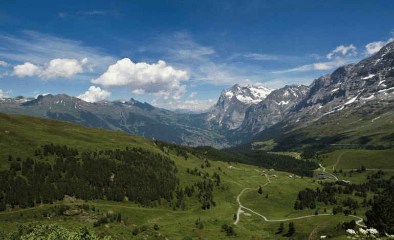 Fairy Meadows: Complete Travel Guide to Pakistan’s Alpine Paradise