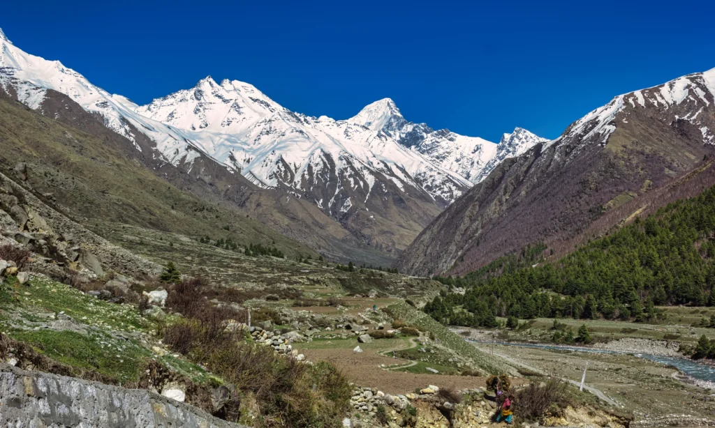 Nanga Parbat Camp Trek