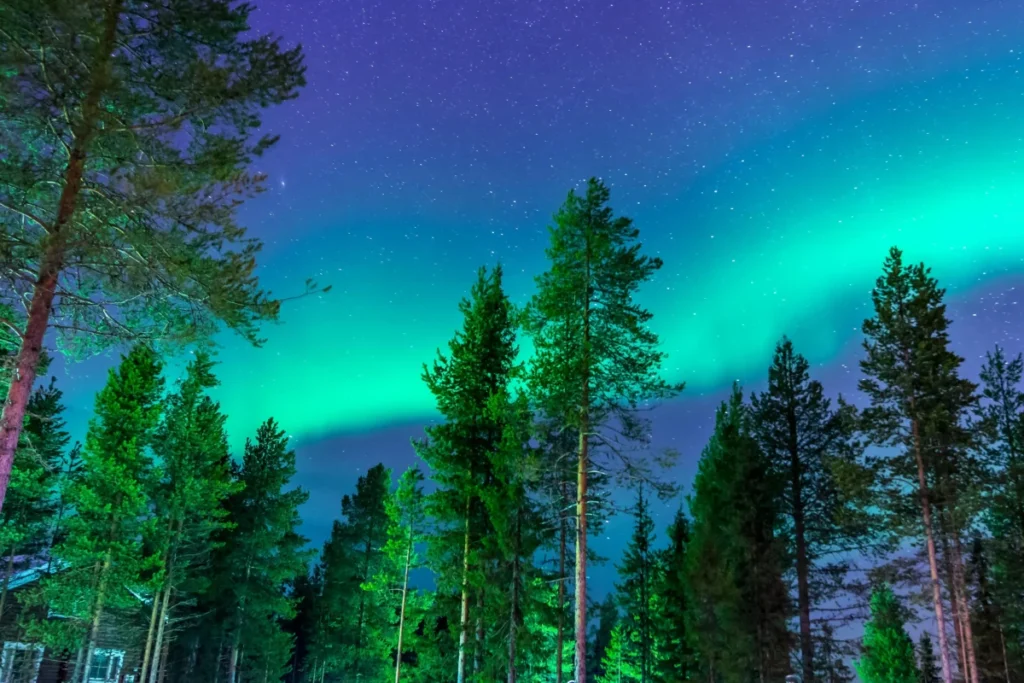 Northern Light Season Alaska