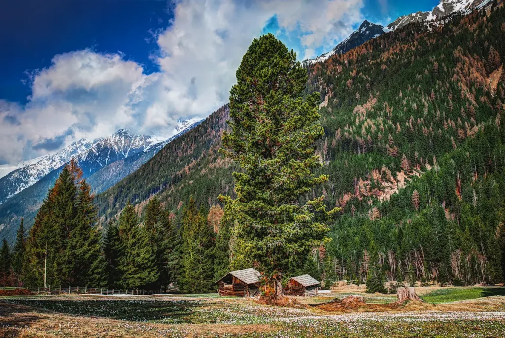 What Makes Fairy Meadows Special